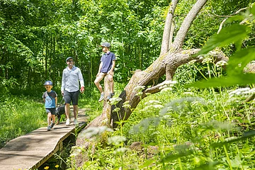 Berching Wanderweg bei Plankstetten