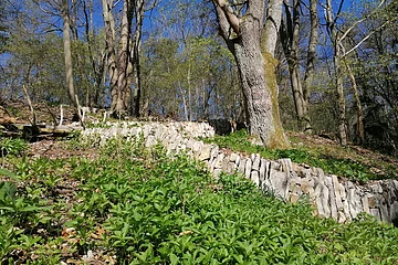 Weinbergmauern Berching