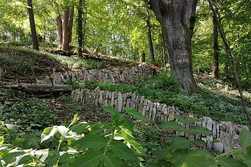 Weinbergmauern Berching