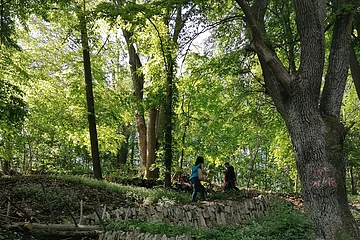 Weinbergmauern Berching