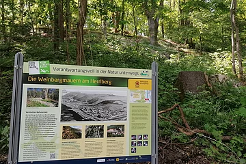 Weinbergmauern Infotafel Berching