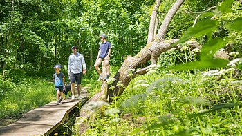 Berching Wanderweg bei Plankstetten