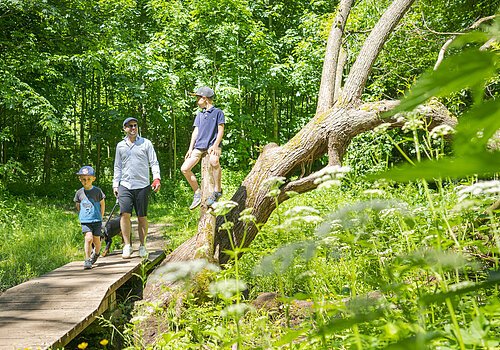 Berching Wanderweg bei Plankstetten