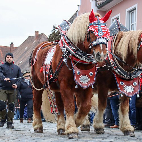 Rossmarkt 2024 Pferdeauftrieb