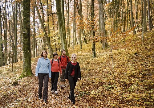 Wanderer im Wald