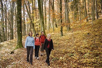 Wanderer im Wald