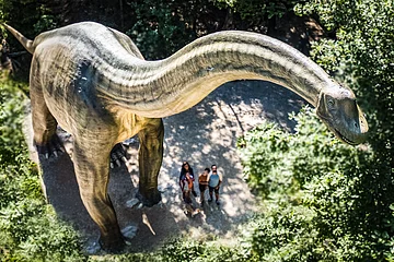 Naturpark Altmühltal Juni 2022